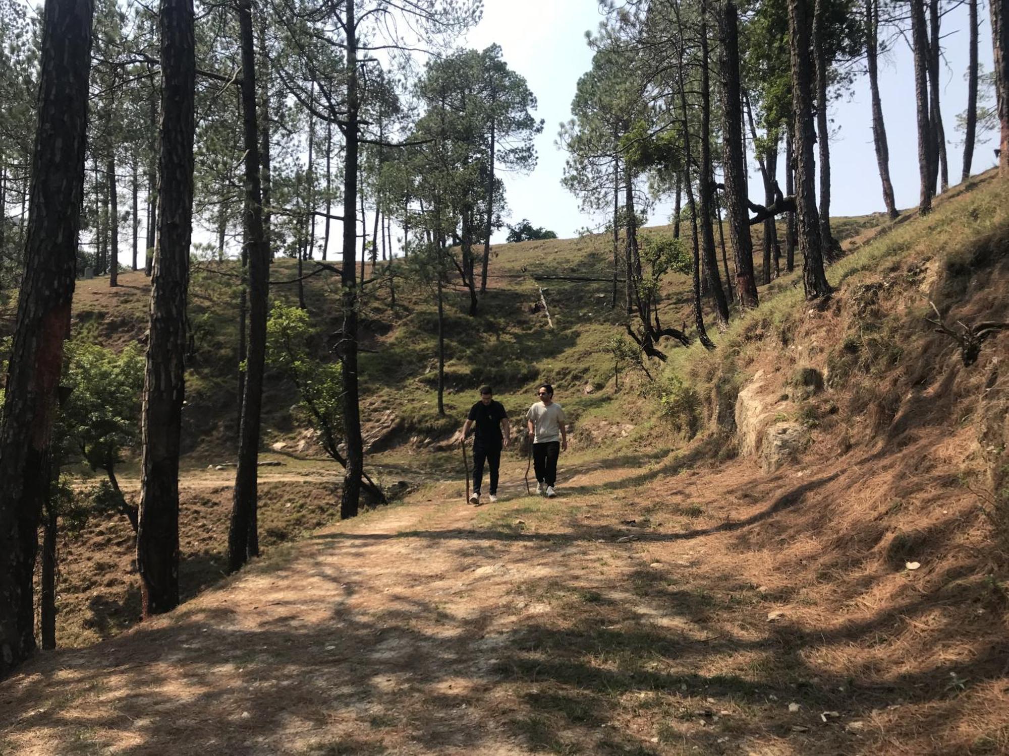 Simba Jungle Lodge, Binsar Wildlife Sanctuary Exterior photo