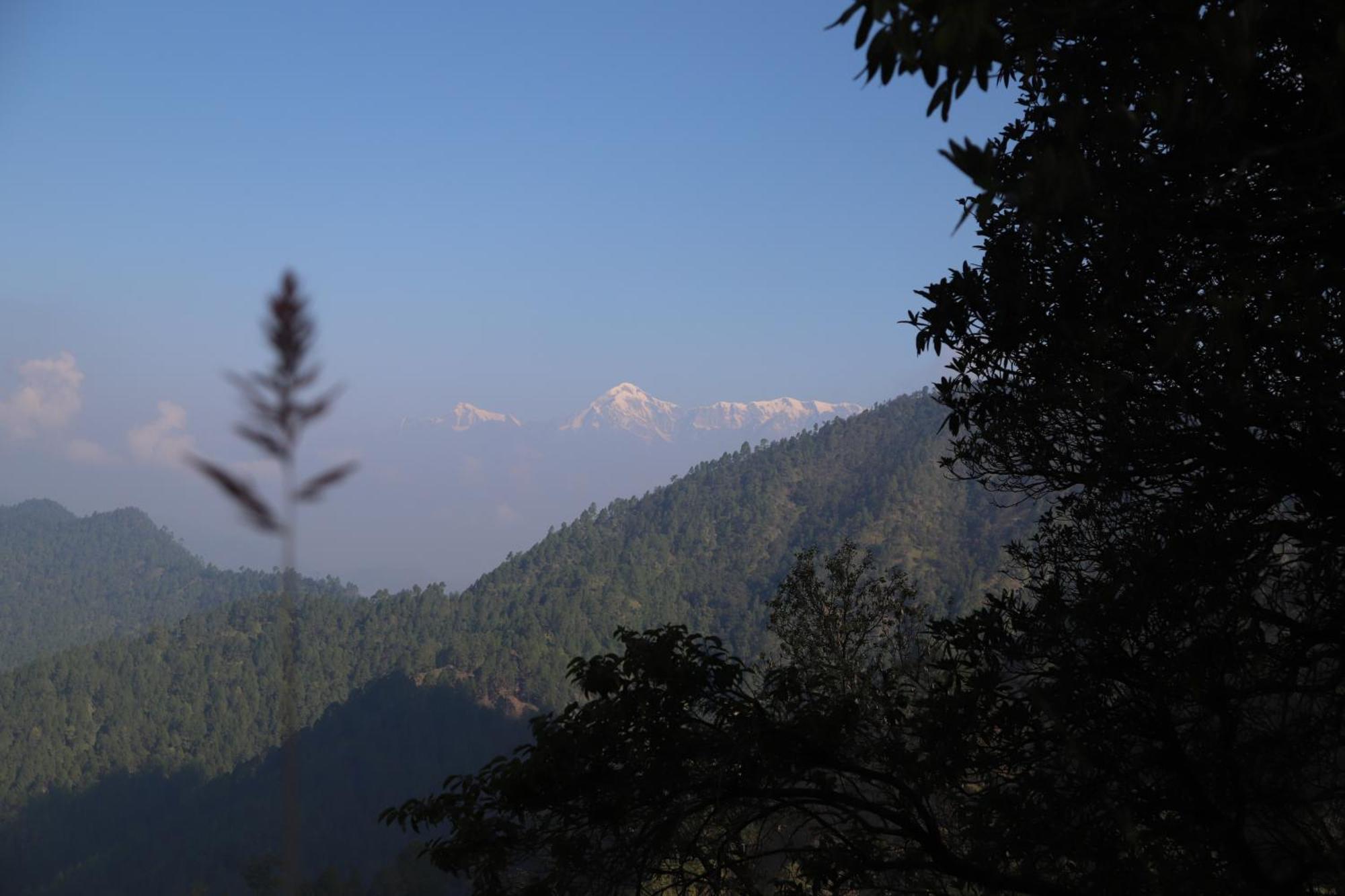 Simba Jungle Lodge, Binsar Wildlife Sanctuary Exterior photo